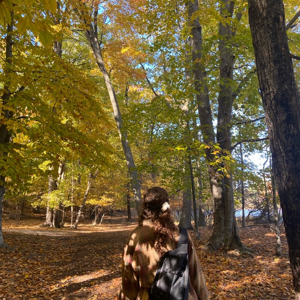 Meet your Posher, Lily